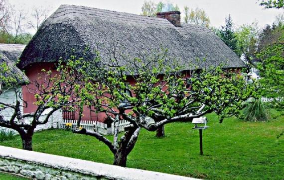 'Bunratty Castle and Folk Village' - Ireland